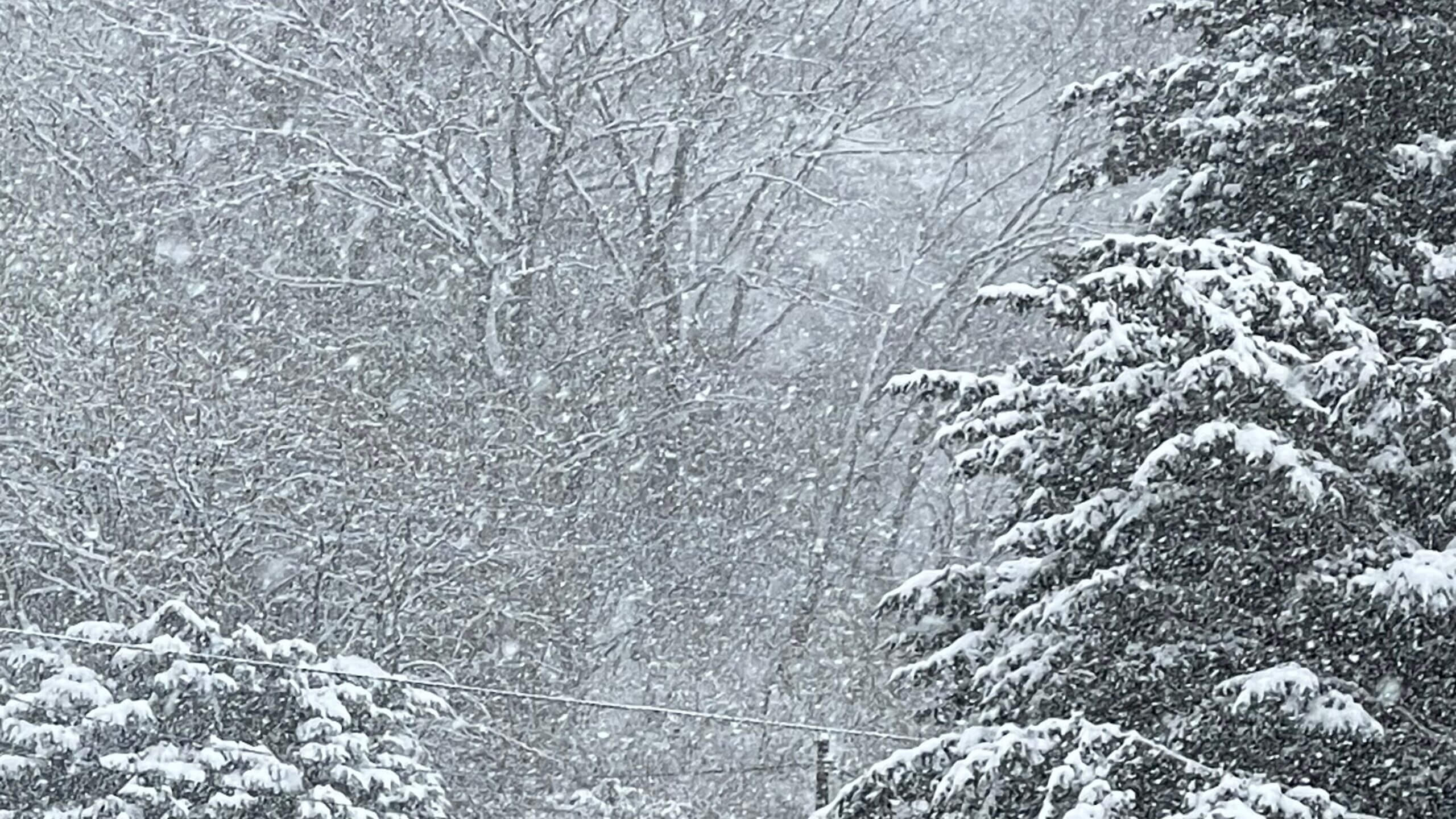 大雪に伴う臨時休業のお知らせ