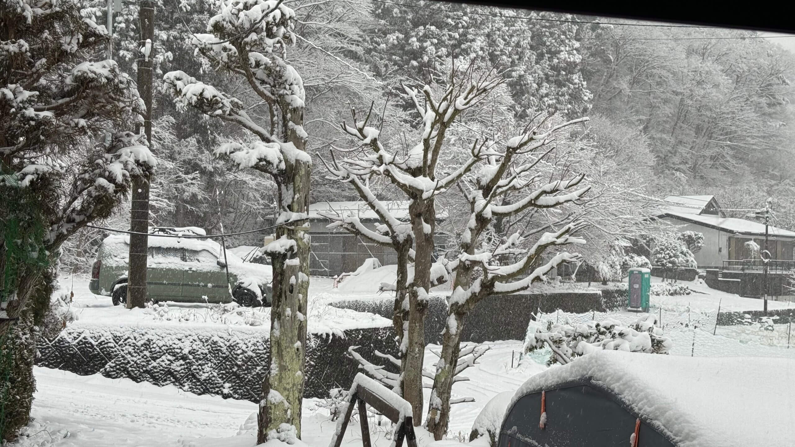 雪のため2/7まで休業とさせて頂きます