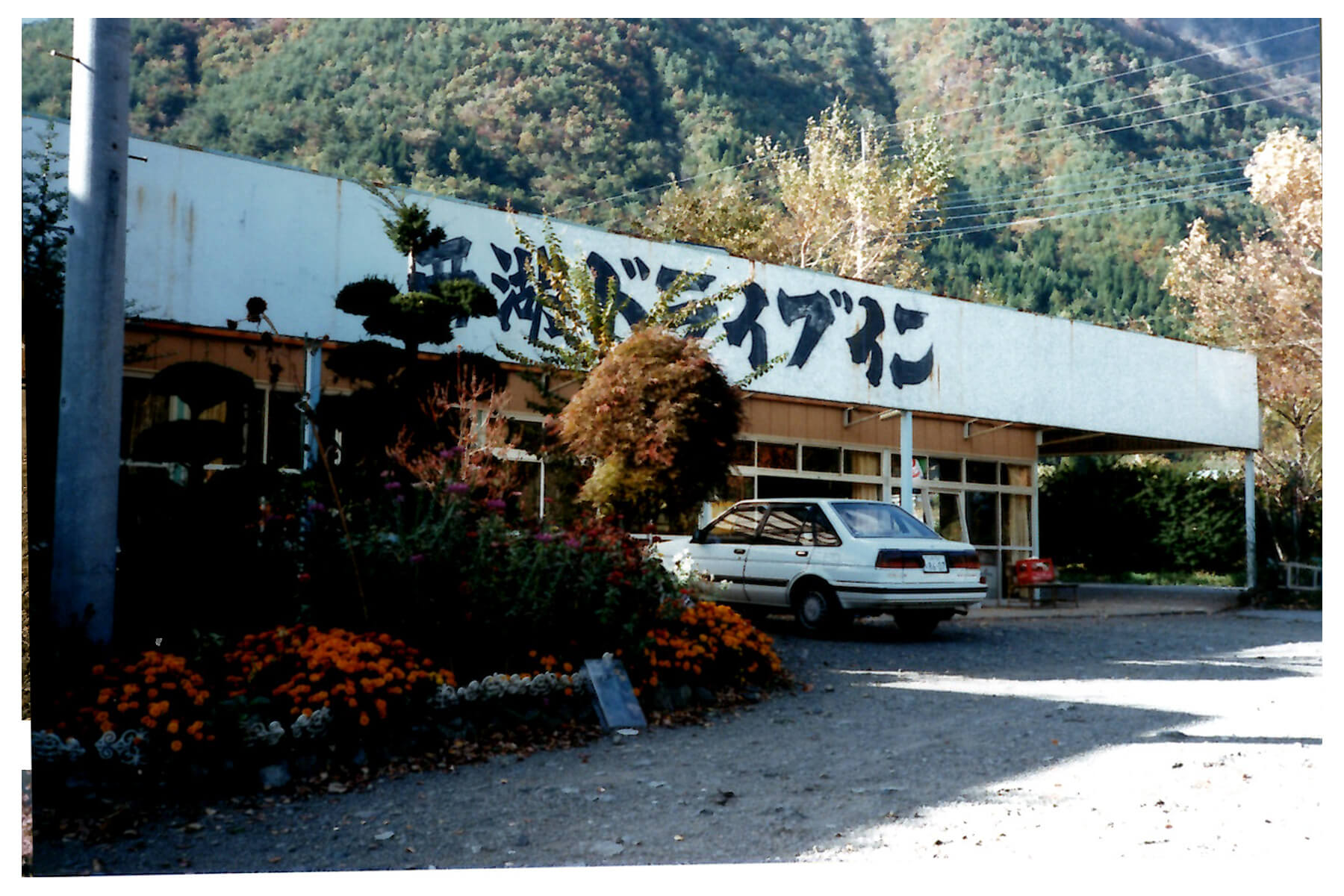 西湖ドライブイン時代の写真